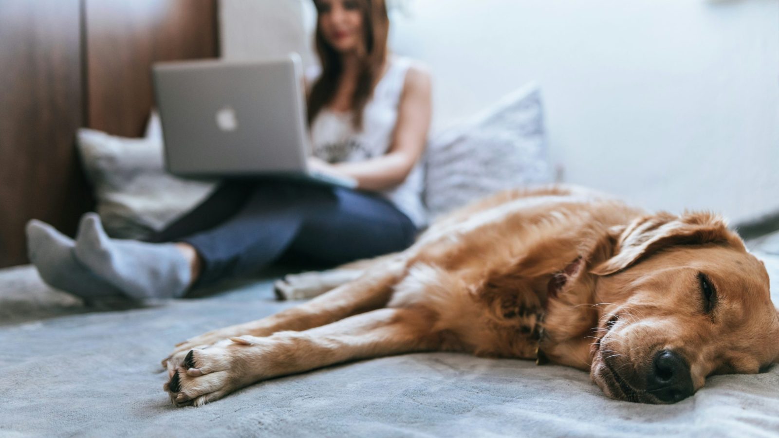 a woman is sitting on a bed with a dog on her lap at The Residences at Bear Creek